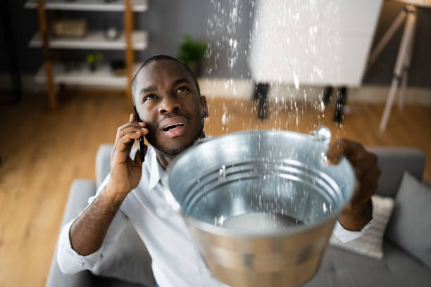 Best Flood damage cleanup  in Lake Riverside, CA