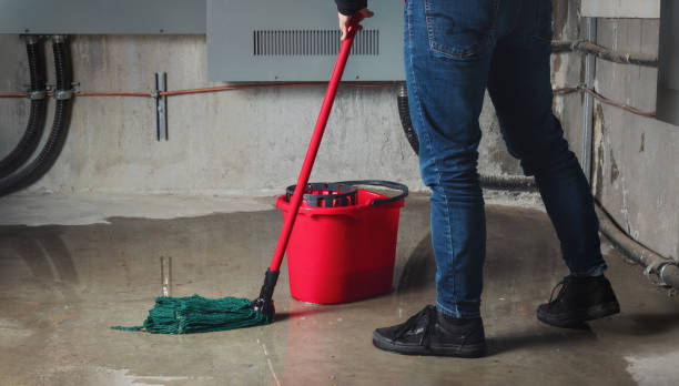 Best Local water damage restoration  in Lake Riverside, CA
