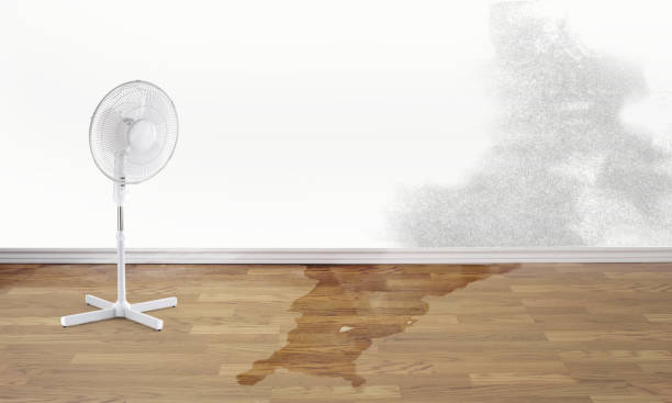 Best Fire Damage Restoration  in Lake Riverside, CA