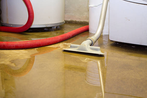 Best Commercial water damage restoration  in Lake Riverside, CA