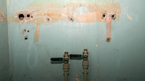 Best Local water damage restoration  in Lake Riverside, CA