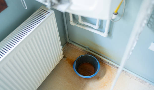 Best Water damage restoration near me  in Lake Riverside, CA