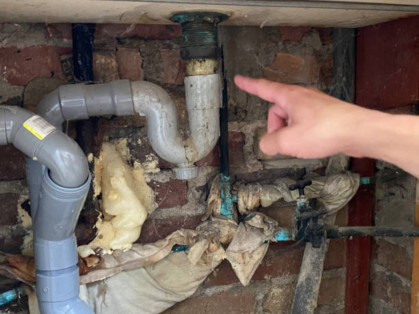  Lake Riverside, CA Water damage restoration Pros