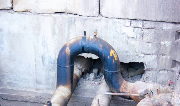 Best Mold removal after water damage  in Lake Riverside, CA