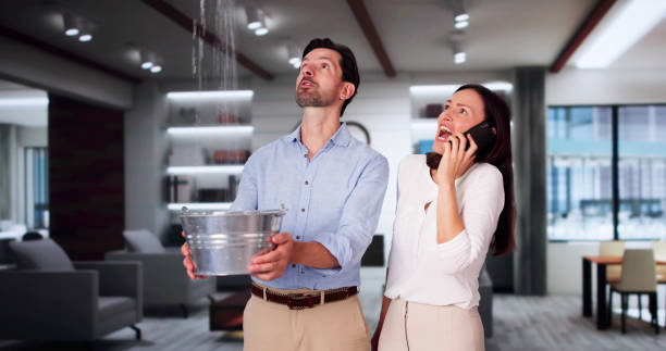 Best Water damage mitigation services  in Lake Riverside, CA